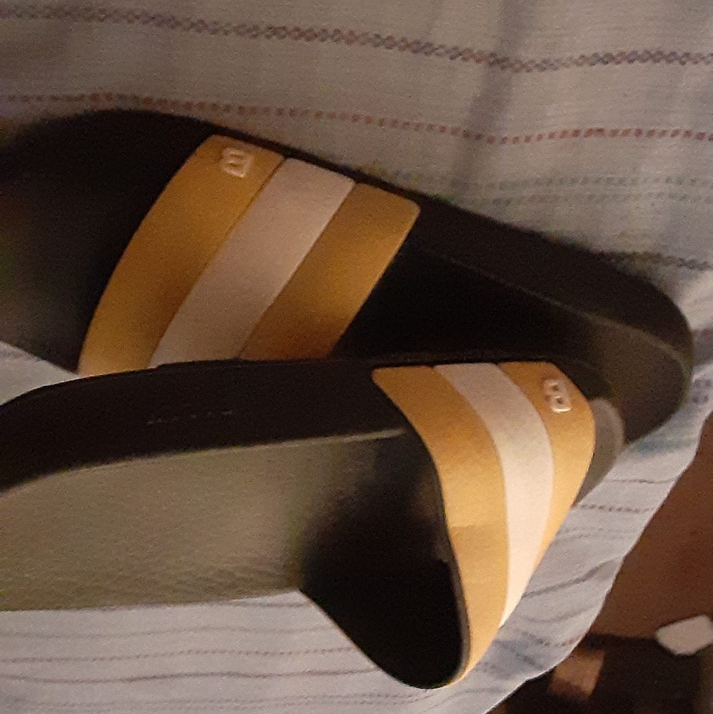 Bally slides